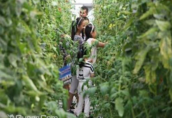生态之都高效蔬菜观光园第 5 张图片