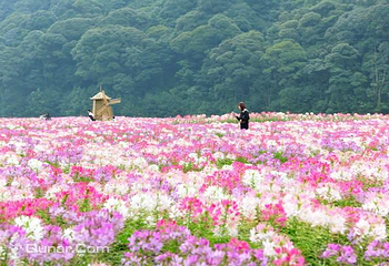 石灶风景区第 1 张图片