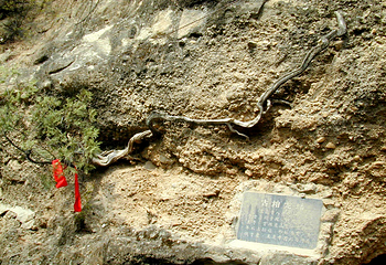龙泉寺第 25 张图片