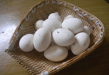 高坞休闲农庄第 14 张图片