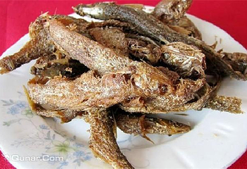 诸葛蟹园第 4 张图片
