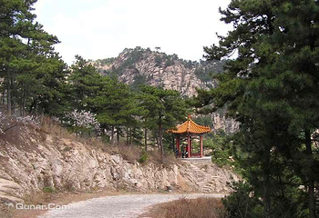 大朝阳景区第 2 张图片