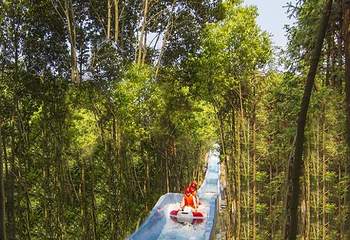 千岛湖森林过山船第 2 张图片