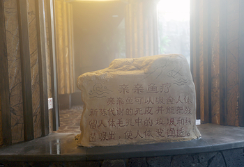 御麓泉温泉第 11 张图片