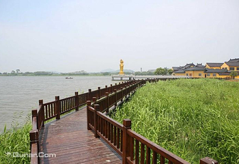 阳山荡公园第 3 张图片