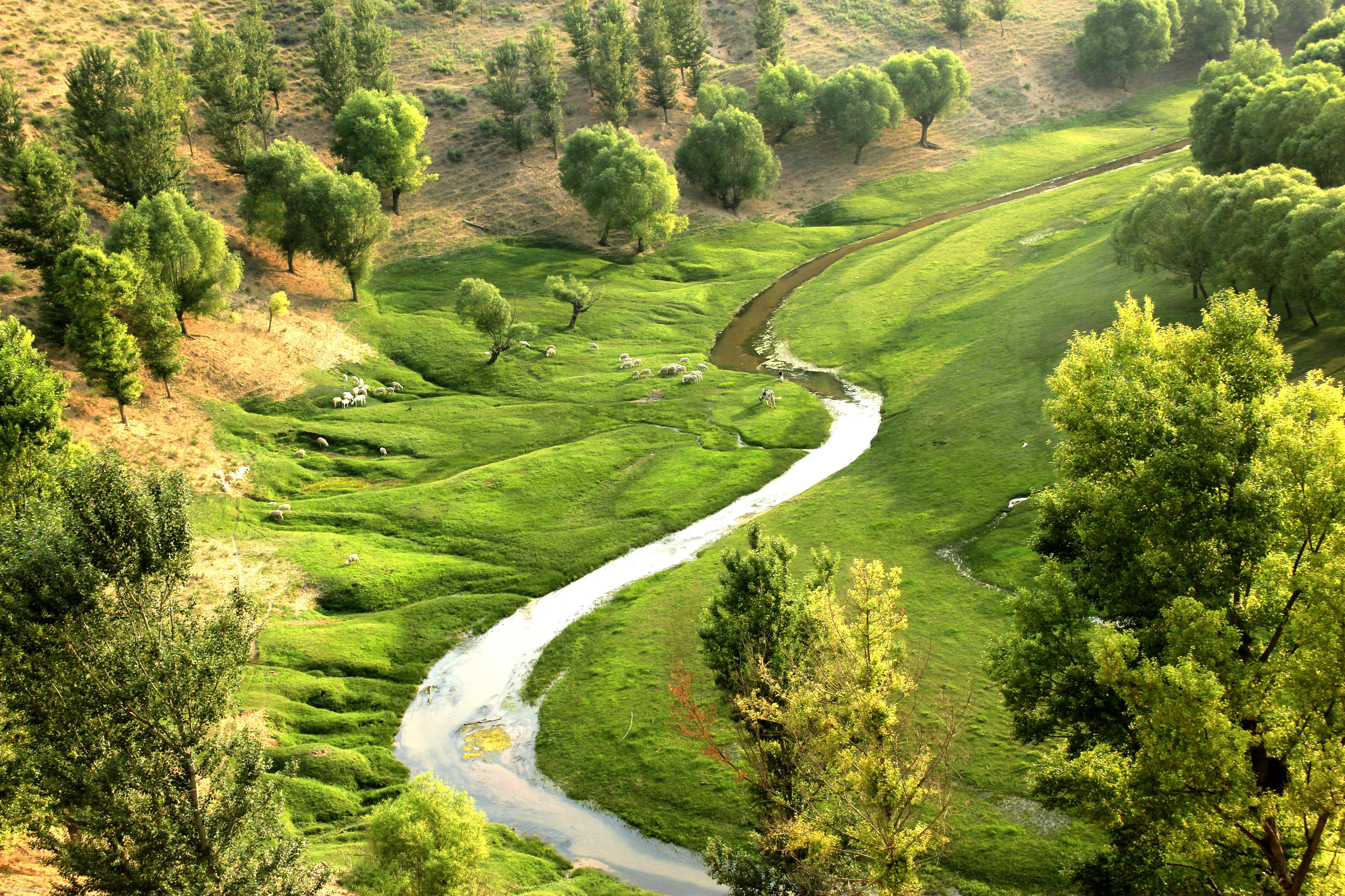 萨拉乌苏旅游区的门票,萨拉乌苏旅游区的观光,萨拉乌苏旅游区的一日游