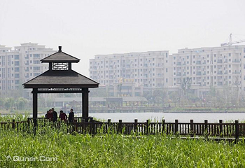 阳山荡公园第 4 张图片