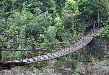 莽山旅游区国家森林公园第 5 张图片