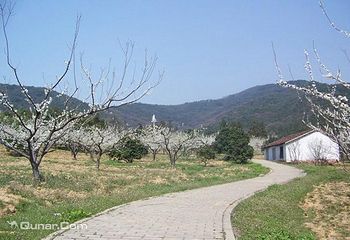 龙寺生态园第 4 张图片