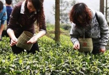 老峨山第 6 张图片