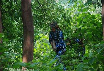 瓦屋山庄第 6 张图片
