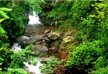 合欢山风景区第 5 张图片