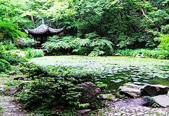 虎跑公园第 8 张图片