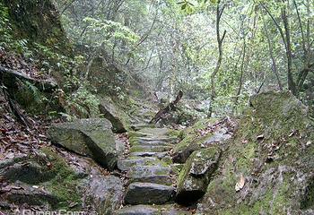 东安舜皇山国家森林公园第 11 张图片