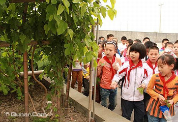 东方丝博园第 4 张图片