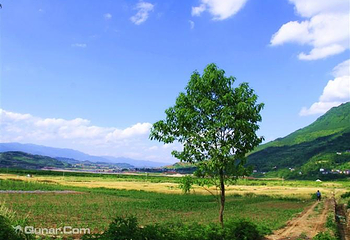昭化牛头山第 2 张图片