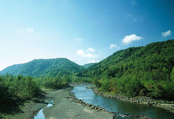 虞山索道第 5 张图片