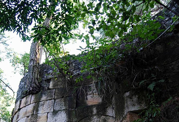 缙云山生态旅游观光索道第 11 张图片