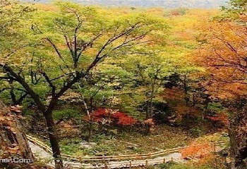 双阳冰溶洞风景旅游区第 1 张图片