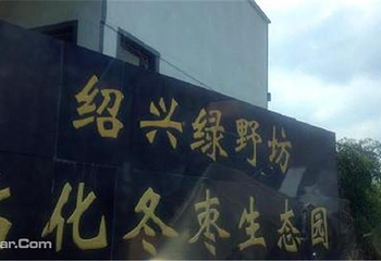 绿野坊冬枣采摘第 4 张图片