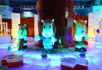 冰雪世界第 59 张图片