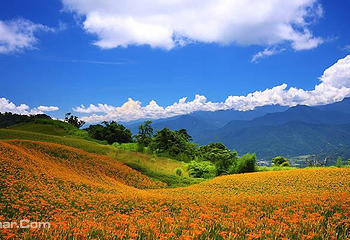 花莲赤科山金针花海观光第 2 张图片