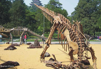白沙门恐龙展第 4 张图片