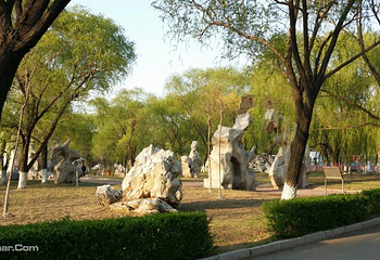 中兴公园第 4 张图片