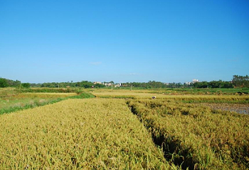 吉兆湾国际旅游度假区第 2 张图片