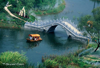 滕州微山湖红荷湿地第 17 张图片