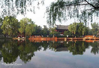 泰山公园第 3 张图片