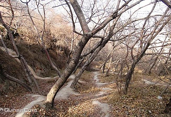 兰山公园第 8 张图片