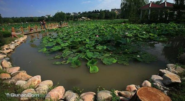 津南农业科技园