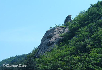 金兰山国家森林公园第 2 张图片