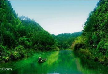 千岛湖龙川湾第 4 张图片