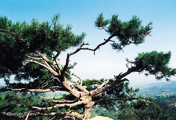 羊头山炎帝文化旅游区第 3 张图片