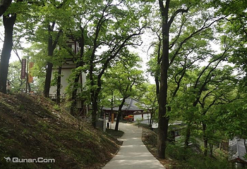 紫蓬山第 5 张图片