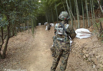 君龙真人CS第 1 张图片