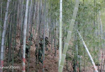 镭拓真人CS俱乐部（酒埕岩风景区）第 3 张图片