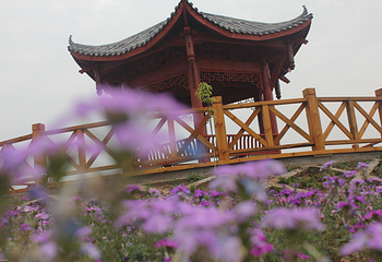 中国有机生活公园-旅游景区第 10 张图片