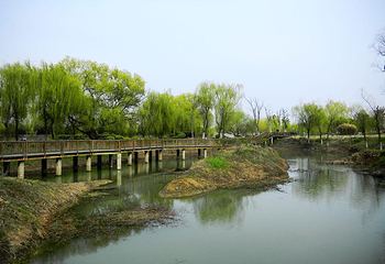 七桥瓮生态湿地公园第 8 张图片