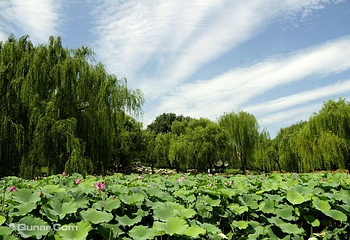 陶然亭公园第 46 张图片