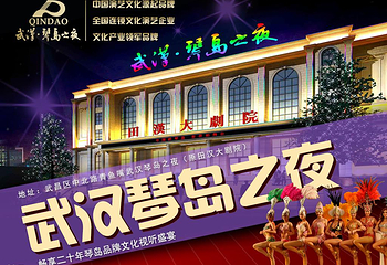 武汉琴岛之夜第 1 张图片