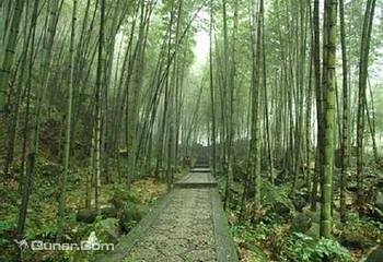 宋山森林公园第 2 张图片