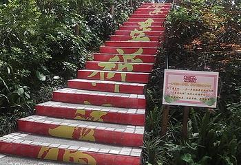 摩星岭景区第 6 张图片