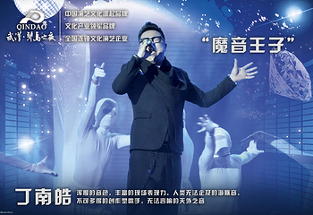 武汉琴岛之夜第 14 张图片