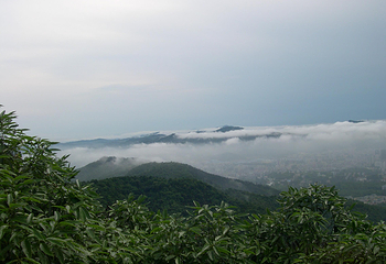 摩星岭景区第 3 张图片