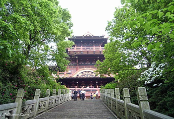 宋山森林公园第 4 张图片