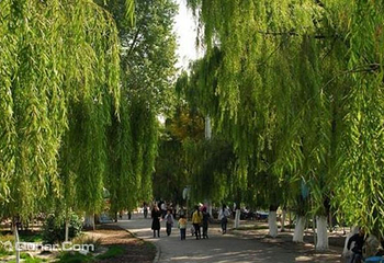 西宁市人民公园第 11 张图片