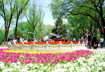 西宁市人民公园第 8 张图片